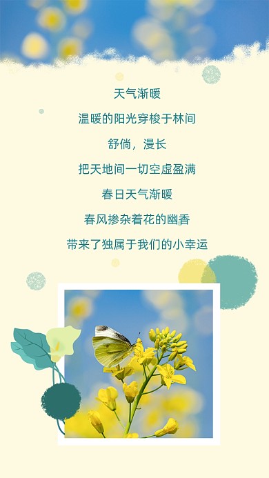 春天诗歌软文正能量油菜花摄影图竖版配图