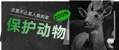 地球日保护野生动物黑白摄影图公众号首图