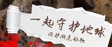 地球日保护野生动物黑白摄影图公众号首图