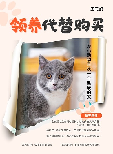 领养代替购买宠物商务印刷海报