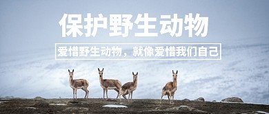 世界地球日保护野生动物微信公众号首图