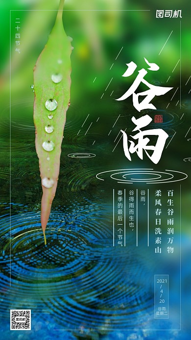 谷雨时节清新写实手机海报