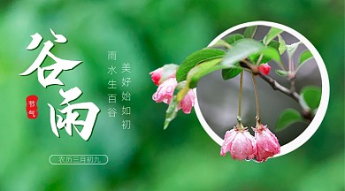 谷雨节气绿色春天生机开花广告banner