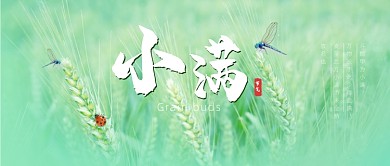 小满节气夏天粮食麦田成熟公众号首图