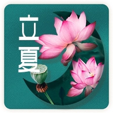 立夏荷花荷叶公众号次图