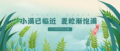 小满节气麦穗夏天稻田绿色公众号首图