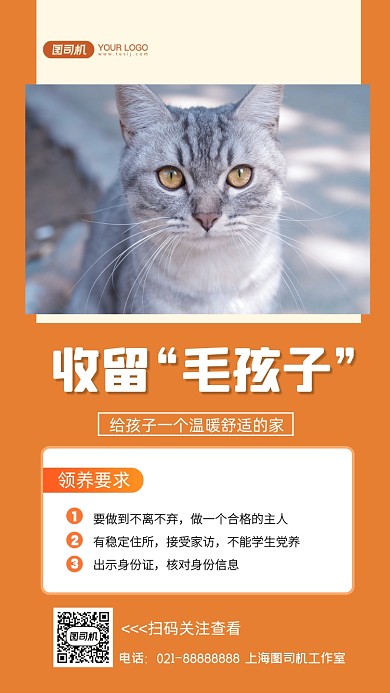 收留毛孩子宠物领养手机海报