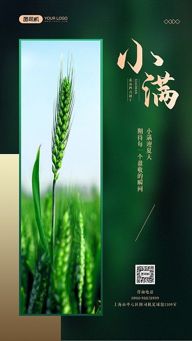 小满节气小麦摄影图宣传手机海报