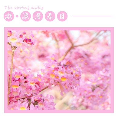 旅游赏花春游五一小长假方形配图