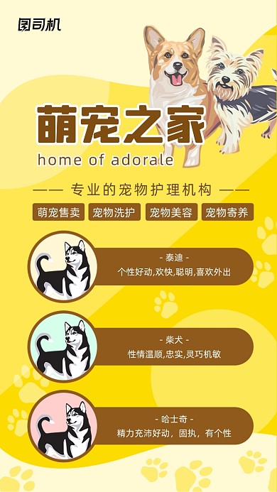 萌宠之家宠物美容可爱插画手机海报