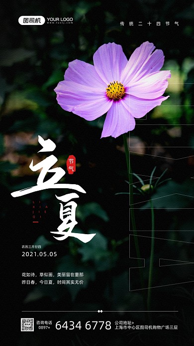 立夏节气夏日红花摄影图宣传手机海报