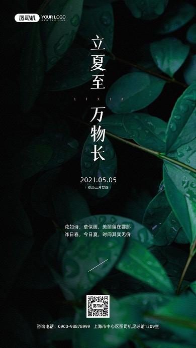 立夏节气绿色植物摄影图宣传手机海报