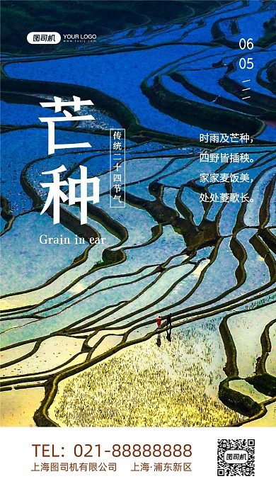 芒种二十四节气写实摄影图手机海报