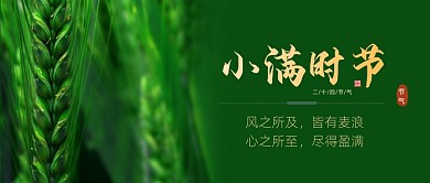 小满节气夏天绿色麦子公众号首图
