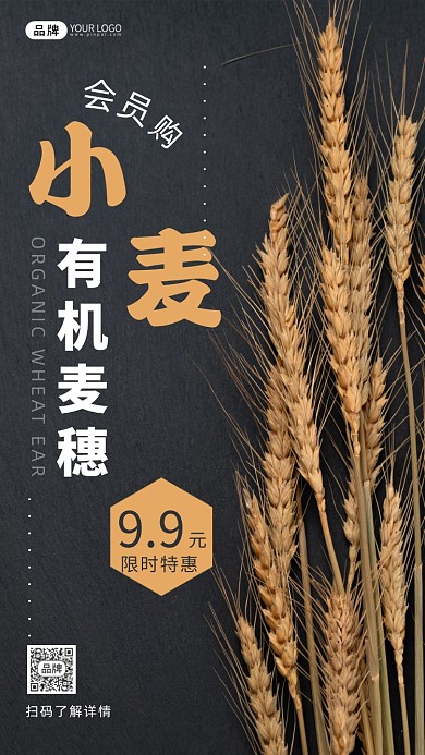 小麦促销简约实景摄影图海报