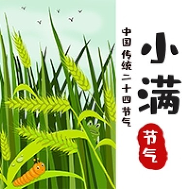 小满节气夏天绿色麦穗小清新卡通公众号次图