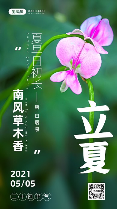 立夏节气花朵摄影图手机海报