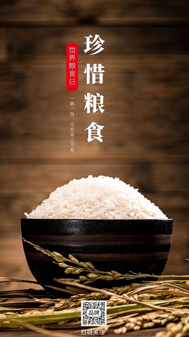 世界粮食日大米摄影图海报