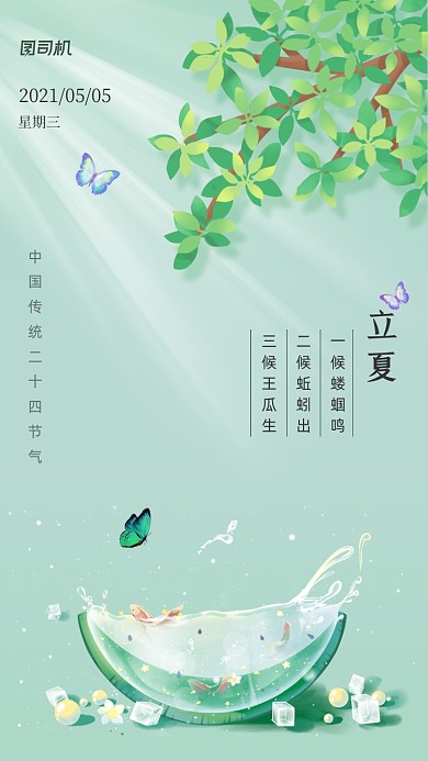 立夏节气清新简约手机海报