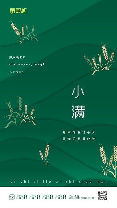 小满节气绿色质感大气手机海报