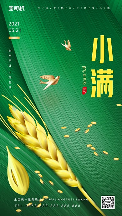 小满节气绿色创意大气手机海报