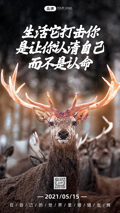 每日一签可爱麋鹿摄影图摄影图海报