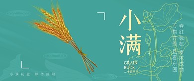 小满节气绿色麦穗夏天公众号首图