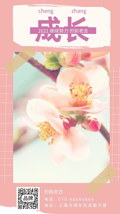 努力成长花卉摄影图海报