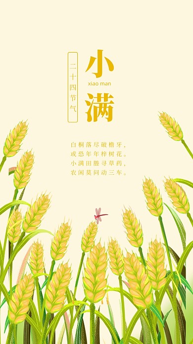 小满节气夏日卡通小麦竖版配图