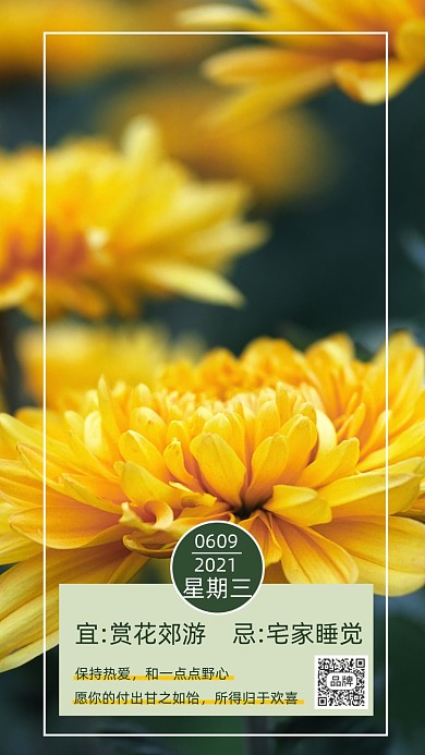 早上好花卉每日一签摄影图海报