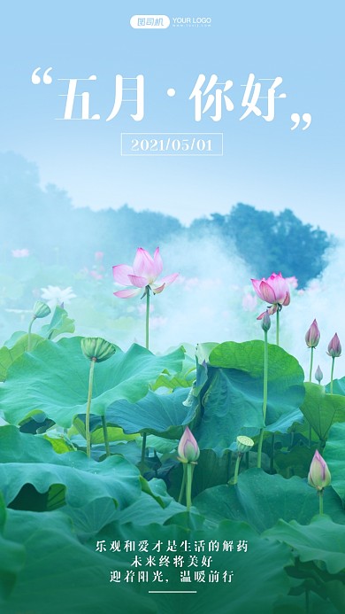 古风荷花实景日签手机海报