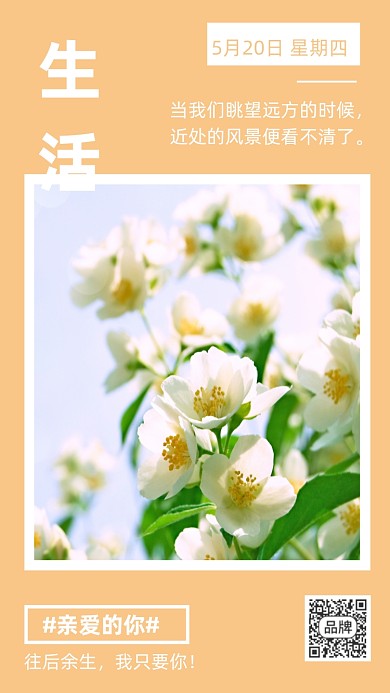 生活花卉每日一签摄影图海报
