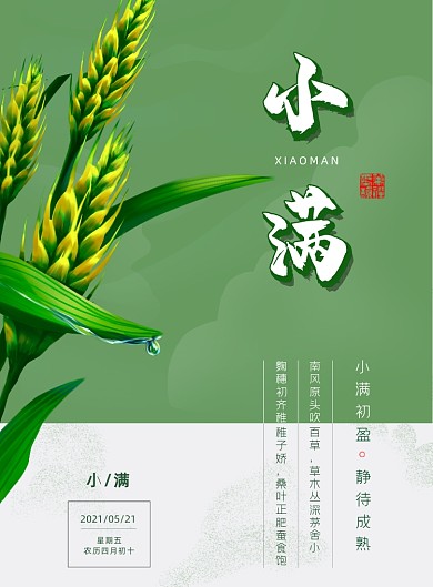小满绿色玉米插画印刷海报