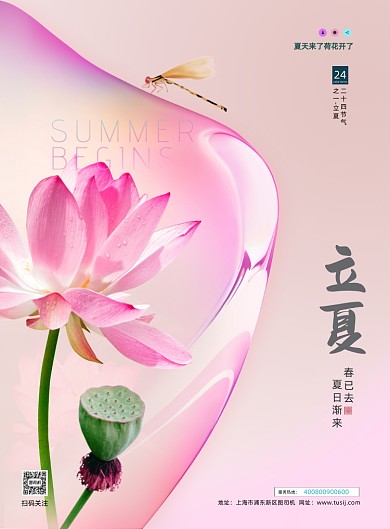 立夏荷花节气简约印刷海报
