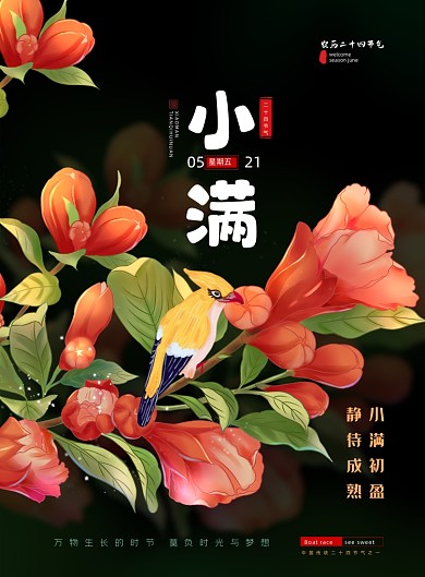 小满节气花朵插画印刷海报