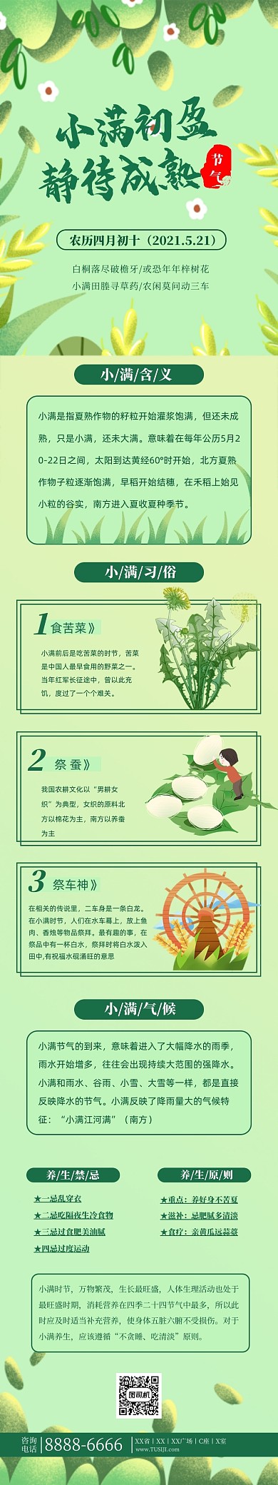 传统节气小满绿色文章长图