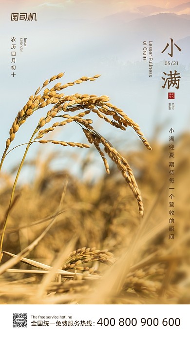 小满节气简约大气中国传统手机海报
