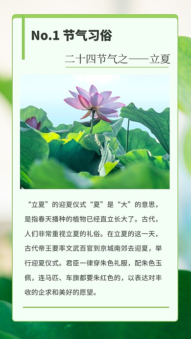 立夏习俗文艺清新竖版配图