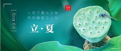 立夏节气荷花莲蓬摄影图公众号首图