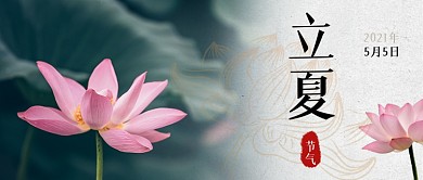 立夏节气荷花莲蓬摄影图公众号首图