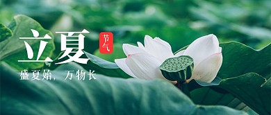 立夏节气荷花夏天摄影图微信公众号首图