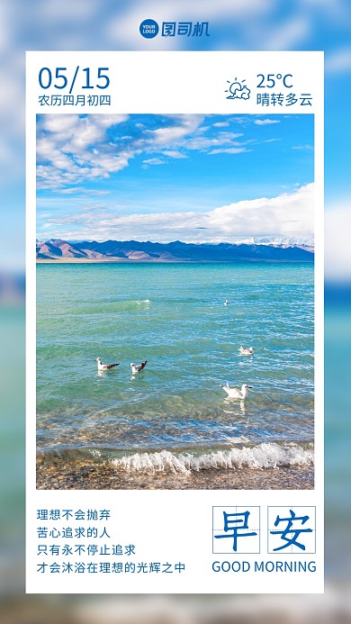 湖边海鸥摄影日签手机海报