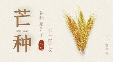 芒种节气小麦麦穗简约广告banner