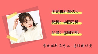 种草达人省钱囤货作者名片