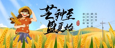 芒种节气小麦收获麦田公众号首图
