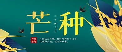芒种节气中国风小麦公众号首图