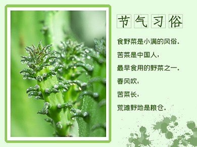 小满节气夏日习俗夏天来了横版配图