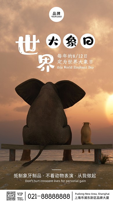 公益摄影简约风世界大象日摄影图海报