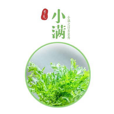 夏天绿色小满节气方形配图