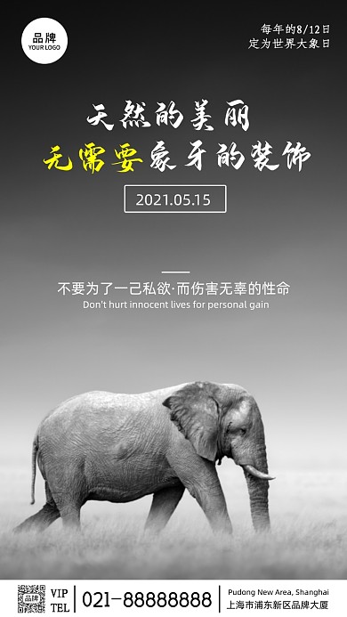 公益摄影简约风世界大象日摄影图海报